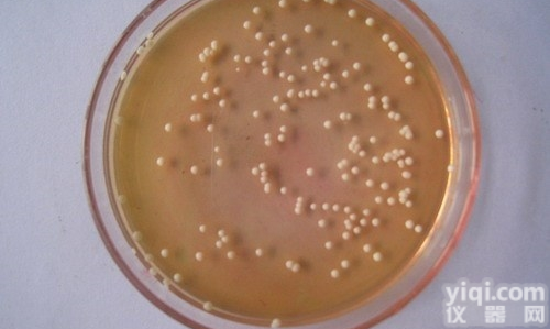 MS盐与B5<em>维生素</em><em>混合</em>物培养基价格