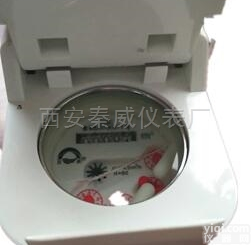 IC卡<em>智能立式水表</em>