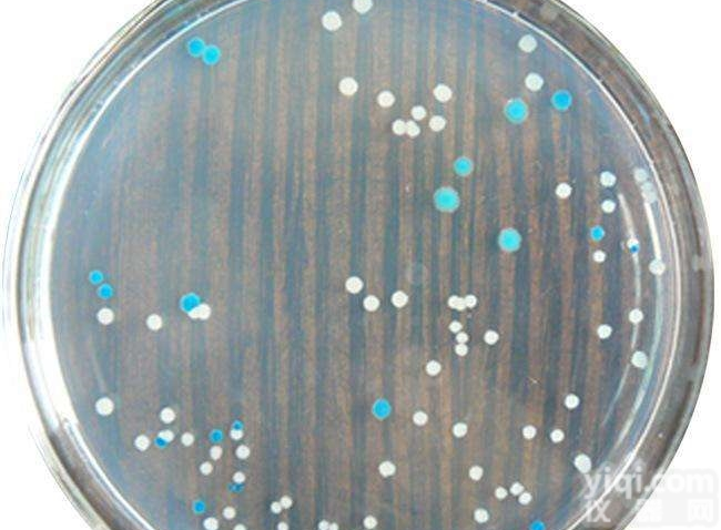 MM培养基<em>维生素</em>溶液<em>说明书</em>