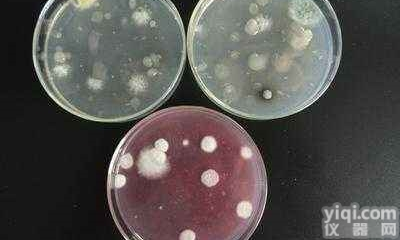 M兰科<em>播种</em><em>培养基</em>价格