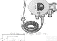 GR/WTZK-52  北京<em>防爆</em>型<em>温度计</em>