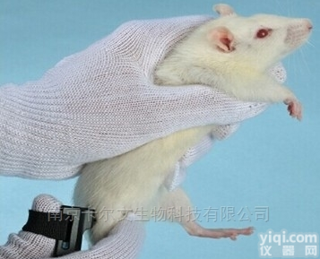 KW-YT  压力<em>痛觉</em><em>测量仪</em>