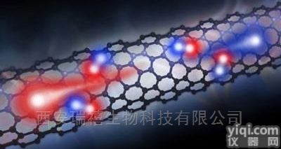 11  <em>靶向</em>探针-<em>多肽</em>修饰的碳纳米管制备及表征