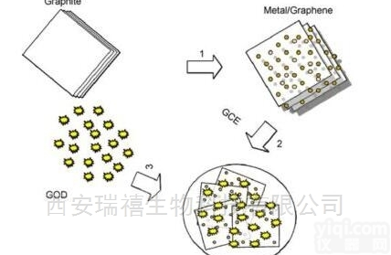 11  上转换发光<em>纳米</em>颗粒<em>修饰</em>磁性nm颗粒现货