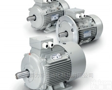 <em>德国</em><em>MOLL</em>-<em>MOTOR</em>电动机