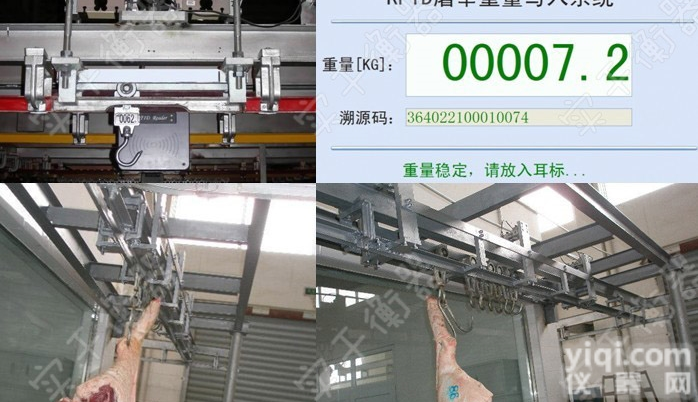 屠宰<em>轨道</em>秤  <em>上海</em>屠猪厂<em>轨道</em>电子秤供应