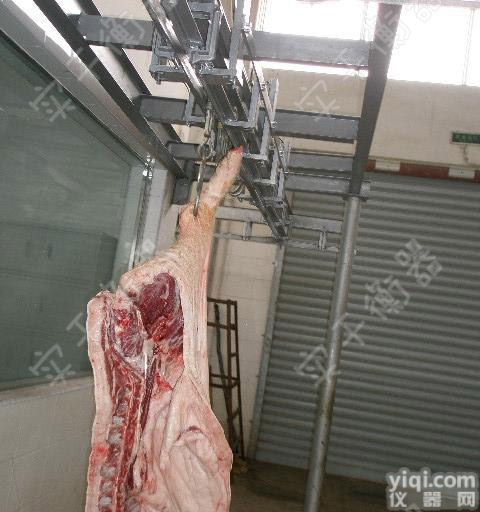 屠宰<em>轨道</em>秤  250kg屠宰<em>电子秤</em> 防水<em>轨道</em>屠宰秤