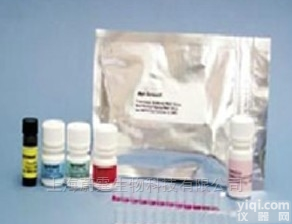 酶免<em>ELISA</em><em>试剂盒</em>  人尿<em>激酶</em>（UK）<em>ELISA</em><em>试剂盒</em>原理操作步骤
