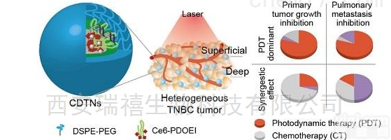 11  国产盐酸阿霉素载药包裹<em>二氧化硅</em><em>纳米颗粒</em>