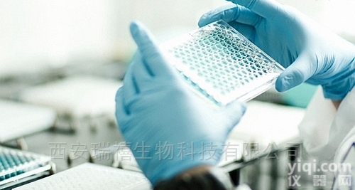 R  多肽蛋白<em>抗体修饰</em>聚苯乙烯荧光微球免疫检测