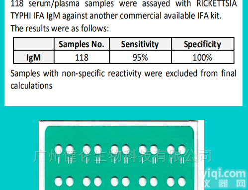 斑疹<em>伤寒</em><em>立克次体</em>IFA IgM免疫荧光<em>玻片</em>
