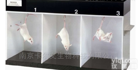 大小鼠<em>悬尾实验</em><em>系统</em>