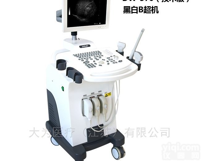 DW-370（技术版）  2018<em>黑白</em>B超机<em>大为</em><em>黑白</em>超 诚招全国总代理