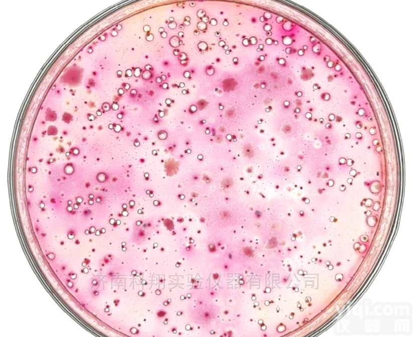 VRBA  即用型VRBA大肠菌群<em>干粉</em>培养基<em>说明书</em>