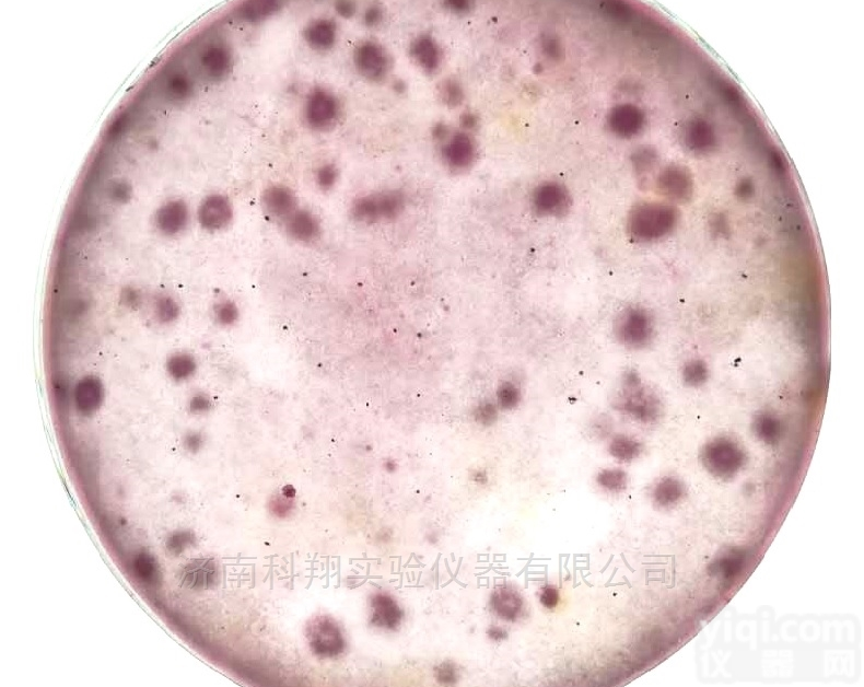 即用型孟加拉红<em>干粉</em>培养基<em>说明书</em>