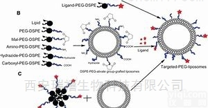 11  国产水凝胶 PLGA-PEG-三<em>苯基</em>膦<em>现货</em>顺丰包邮
