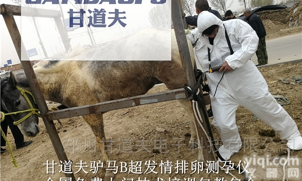 驴用B超母驴B超发情排卵测孕<em>图像</em><em>使用方法</em>