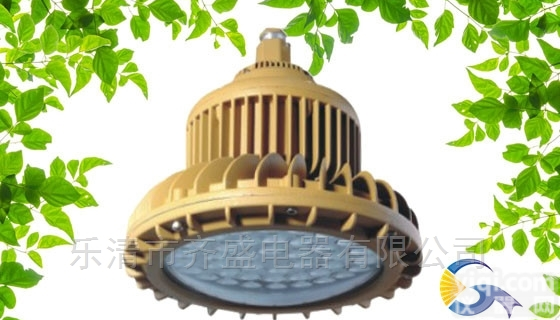 ZL8923固定防爆节能<em>工作灯</em>/30W LED<em>防爆灯</em>