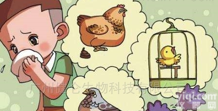 <em>禽流感</em>病毒系列  <em>禽流感</em>AI ELISA法<em>抗体</em>检测试剂