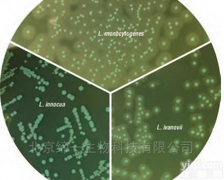 M2009  <em>单增</em><em>李斯特</em>氏菌鉴别<em>显色</em>培养基