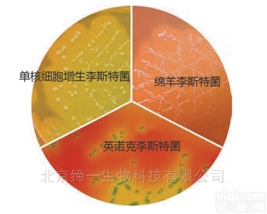 <em>M1924  单增李斯特氏菌显色培养基</em>