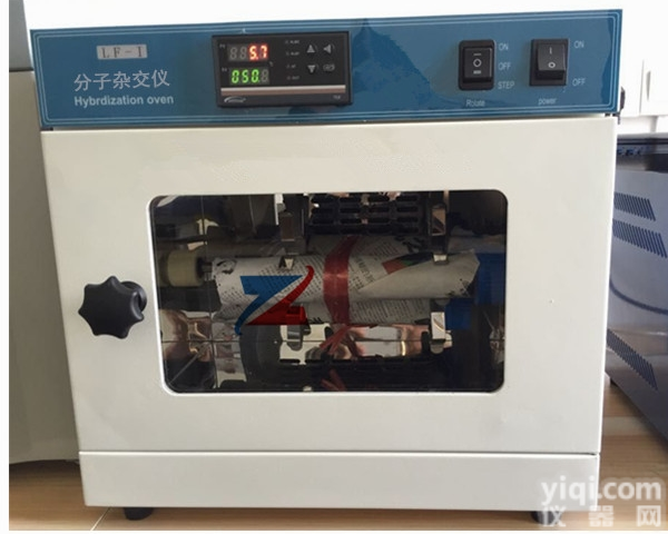 LF-I  <em>分子杂交</em>仪厂家<em>分子杂交</em>箱价格 <em>分子杂交</em>炉