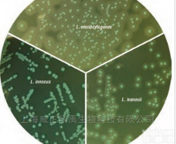 M2009  <em>单增</em><em>李斯特</em>氏菌鉴别<em>显色</em>培养基