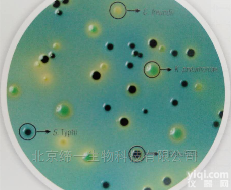 M1816  <em>沙门氏菌鉴别培养基（改良型）</em>