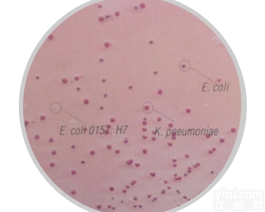 M1340  <em>大肠杆菌O157：H7显色培养基</em>