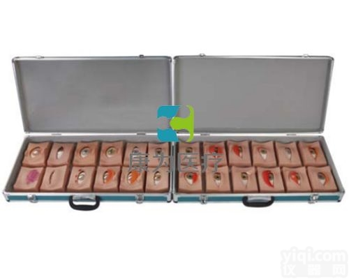 DS4107  常见眼病变<em>模型</em>|耳鼻咽喉头颈<em>外科</em>技能<em>模型</em>