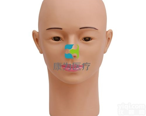 DS4111  <em>高级眼内视网膜病变检查模型</em>