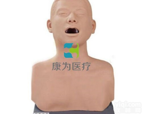 DS4116  <em>声带</em>结节检查<em>模型</em>