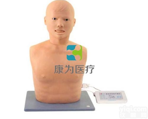 DS4113  高级鼻腔检查<em>模型</em>|<em>耳鼻咽喉</em>头颈外科<em>模型</em>