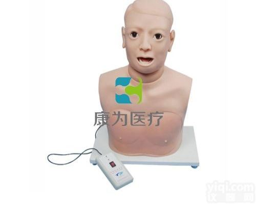 DS4114  高级咽喉检查模型|<em>耳鼻咽喉</em>外科技能模型