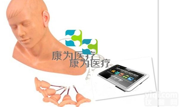 DS4112  交互式耳部检查操作<em>外科</em>技能<em>模型</em>