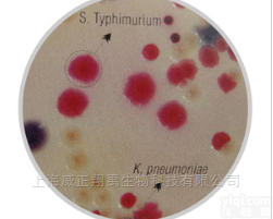 M1633  改良沙门氏菌<em>RajHans</em>显色培养基