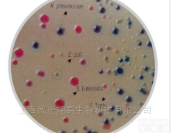 MV1078  显色<em>培养基</em>-沙门氏菌<em>鉴别</em><em>琼脂</em>