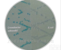 M1641  <em>阪崎肠杆菌显色培养基（改良型）</em>