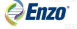 ENZO  ENZO MRP1 （<em>human</em>） <em>monoclonal</em> antibo...