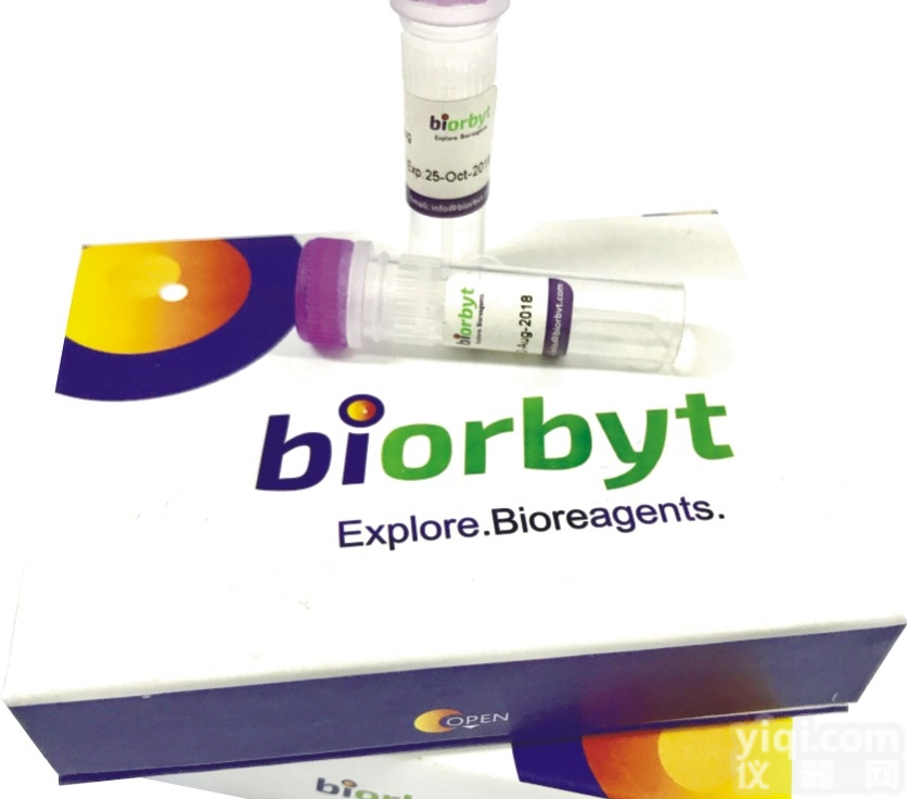 <em>英国</em>biorby  Antibody 南京<em>特价销售</em>总代理