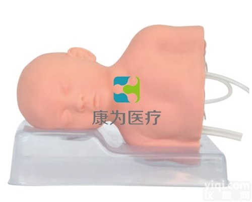 PD5195  双侧<em>婴儿</em>头部静脉<em>注射</em>模型|儿科技能训练