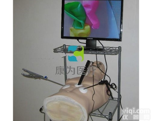 IM8169  <em>宫腔镜</em>仿真<em>训练器</em>