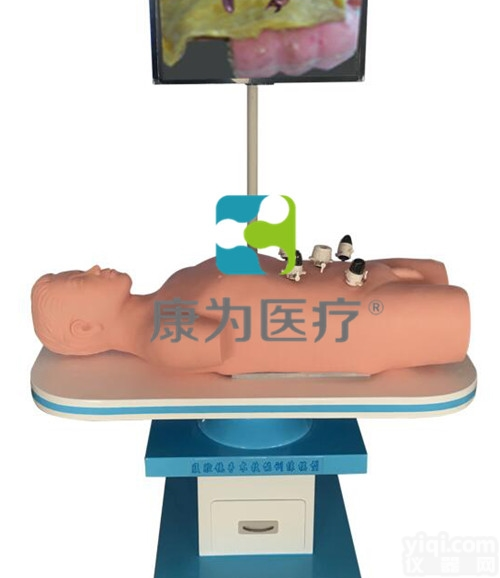 MI4604  高<em>仿真</em><em>腹腔镜</em>手术技能训练人体<em>模型</em>