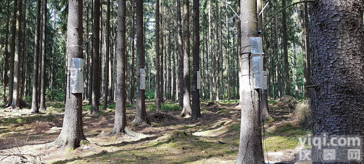 树木生理<em>生态系统</em>