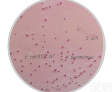 M1340  <em>大肠杆菌O157：H7显色培养基</em>