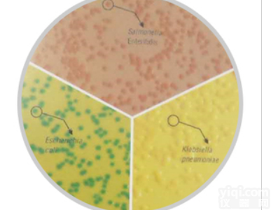 M1569  <em>大肠</em><em>杆菌</em>和<em>大肠</em>菌群鉴别计数培养基