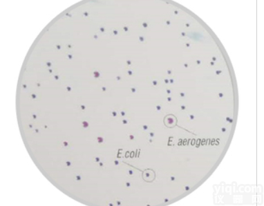 M1426  <em>大肠</em><em>杆菌</em>和<em>大肠</em>菌群显色计数肉汤