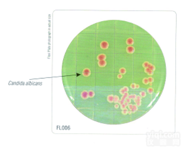 FL022  HiTouch™ <em>大肠</em><em>杆菌</em>和<em>大肠</em>菌群计数平板