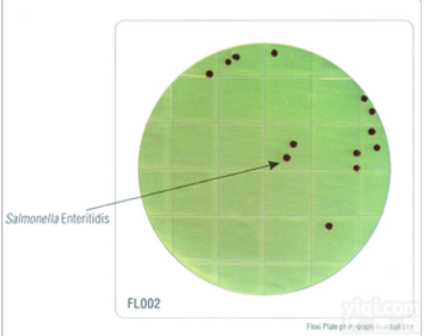 FL002  HiTouch™ <em>大肠</em><em>杆菌</em>和<em>大肠</em>菌群计数平板