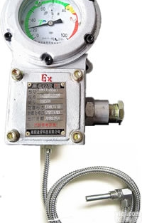 <em>BWTY</em>-<em>205</em>（Z）  <em>BWTY</em>-<em>205</em>（Z）防爆仪表